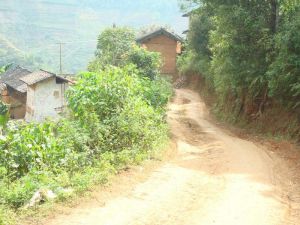 中楊營村 中楊營村