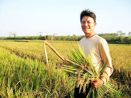 培雜茂三 培雜茂三
