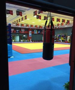 華藝國際MMA綜合格鬥俱樂部 華藝國際MMA綜合格鬥俱樂部