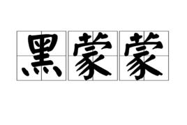 黑蒙蒙 黑蒙蒙