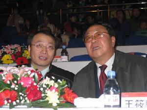 國際武術搏擊爭霸賽