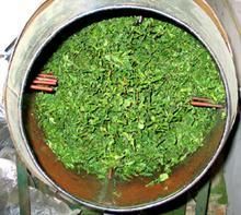 務川大樹茶 務川大樹茶