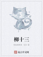 柳十三 柳十三