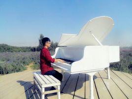 張豐[山東英才學院主席團委員]