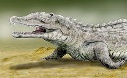 （圖）鑿齒鱷