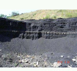 風化煤層 風化煤層