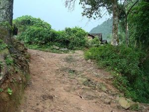 麻力抗村 麻力抗村