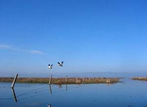大屯彝族土司莊園 大屯彝族土司莊園