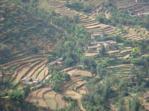 燈草塘村 燈草塘村