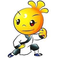 世界傳統武術節 世界傳統武術節