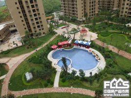 龍鳳首緣 龍鳳首緣