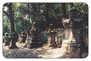 夜合山塔林 夜合山塔林