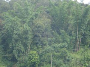 南朗河八村 南朗河八村