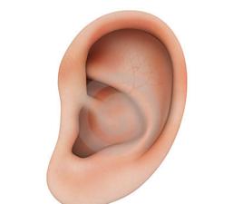 耳朵不可隨便挖 耳朵不可隨便挖