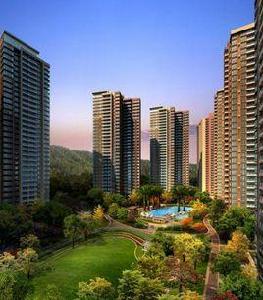 THE TOWN 樂城 THE TOWN 樂城