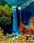 長白山國家自然保護區