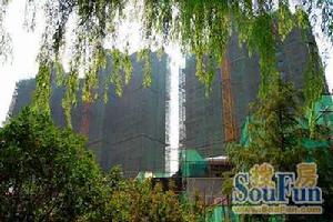 石家莊市新華區浩林園 石家莊市新華區浩林園