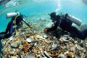 宋代沉船遺址[南海一號”宋代沉船遺址]