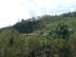 大路新寨村 大路新寨村