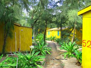 深圳西沖西沖住宿西沖小木屋 深圳西沖西沖住宿西沖小木屋