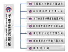 湖北新洋豐肥業股份有限公司