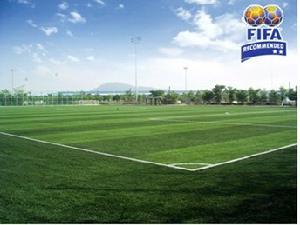 國際足聯世界少年足球錦標賽