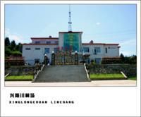 興隆川林場 興隆川林場