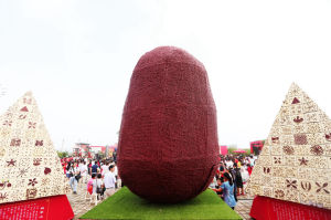 8萬顆紅棗拼成4米高的“天下第一棗”