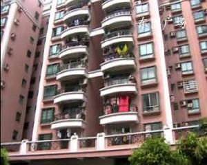 東圃廣場 東圃廣場