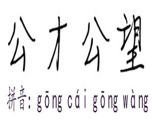 公才公望 公才公望