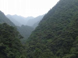 黃岡山[武夷山自然保護區黃岡山]