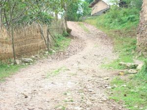 大河溝自然村 大河溝自然村