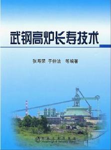武鋼高爐長壽技術 武鋼高爐長壽技術