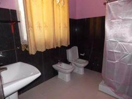 鳥巢度假村 鳥巢度假村