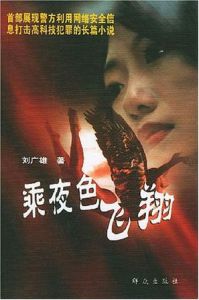 乘夜色飛翔 乘夜色飛翔