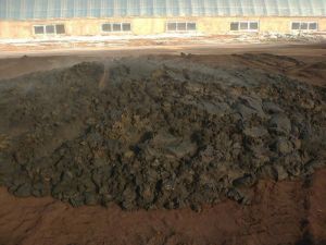 牛糞發酵 牛糞發酵