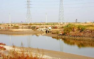十裏海養殖場 十裏海養殖場