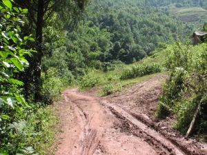 小五朵村 小五朵村