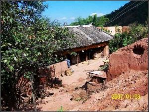 樹密者村 樹密者村