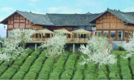 永安鎮[貴州省鳳岡縣永安鎮]