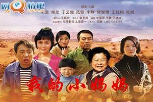 我的小媽媽[2014年王振宏執導電視劇]