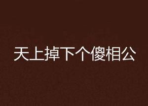 天上掉下個傻相公