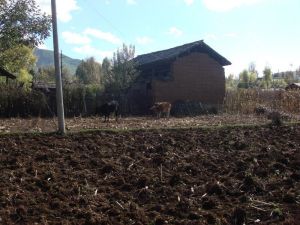 龔家登自然村 龔家登自然村