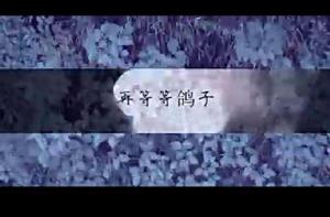 再等等鴿子 再等等鴿子