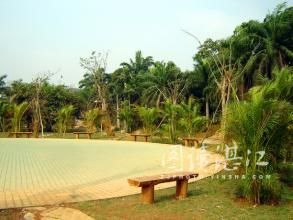 霞山鳳凰苑 霞山鳳凰苑