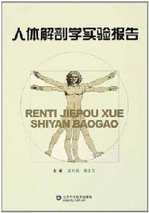 人體解剖學實驗報告 人體解剖學實驗報告