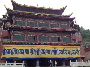 湟中縣博物館 湟中縣博物館