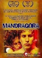 布拉格男妓 布拉格男妓