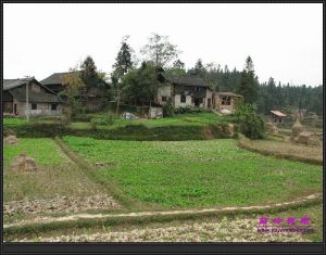 石洞鎮[甘肅省]