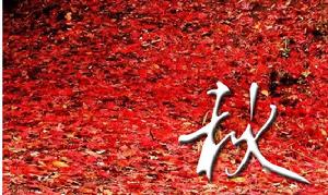 （圖）四季美容